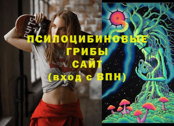 герыч Осинники