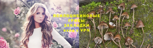 герыч Осинники