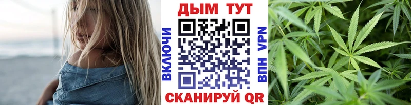 Купить закладки Терек МАРИХУАНА сатива